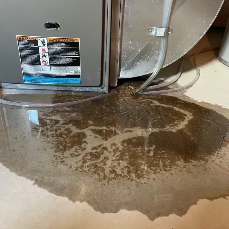 Appliance Leak Cleanup in Monticello, IL